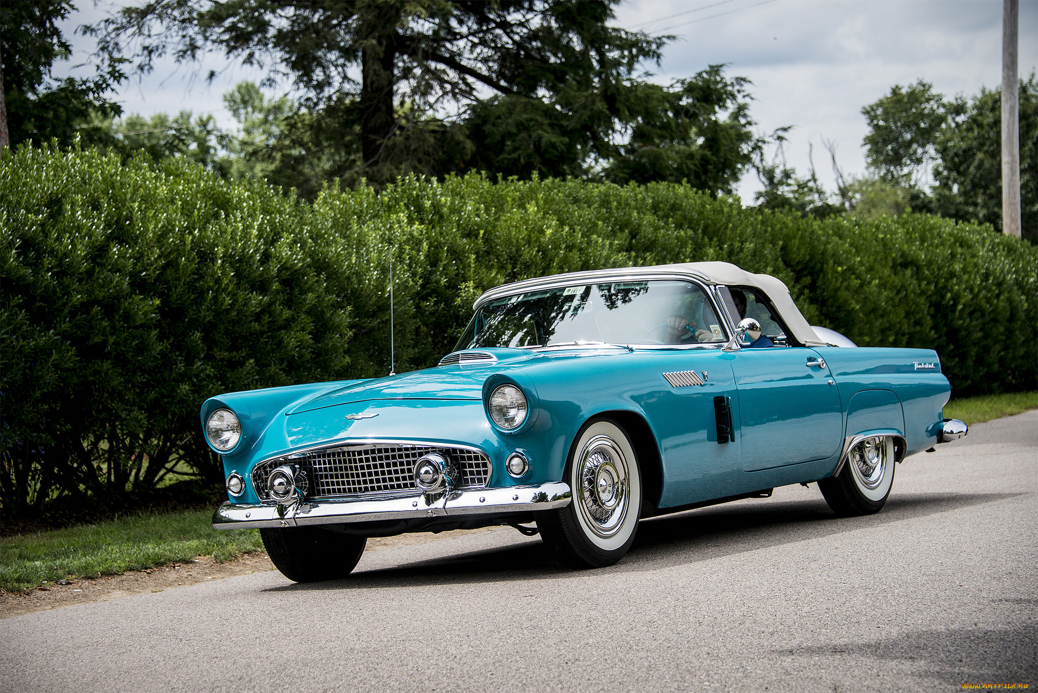 ford thunderbird, , ford, , , 